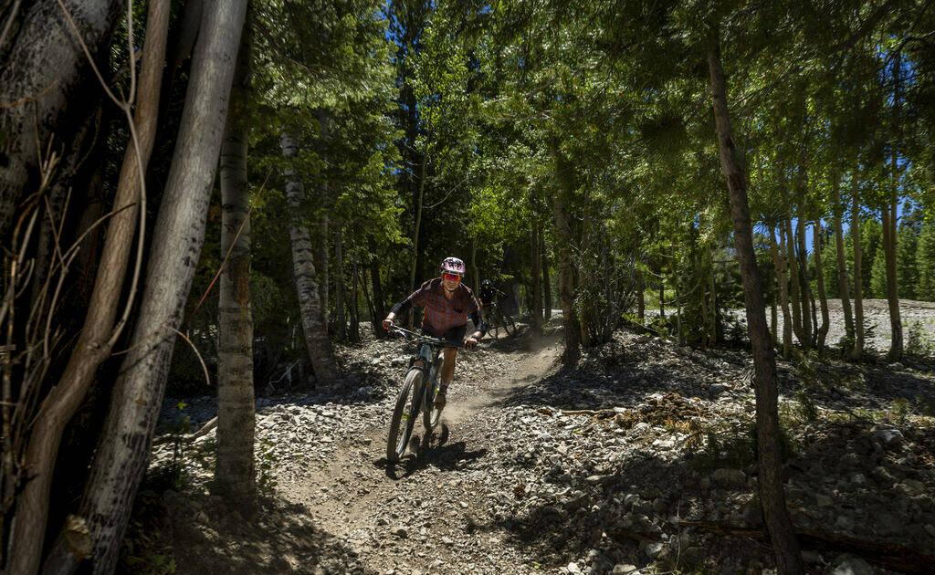 A mountain biker winds his way down the slopes during the Mountain Fest on Rabbit Peak at Mount ...