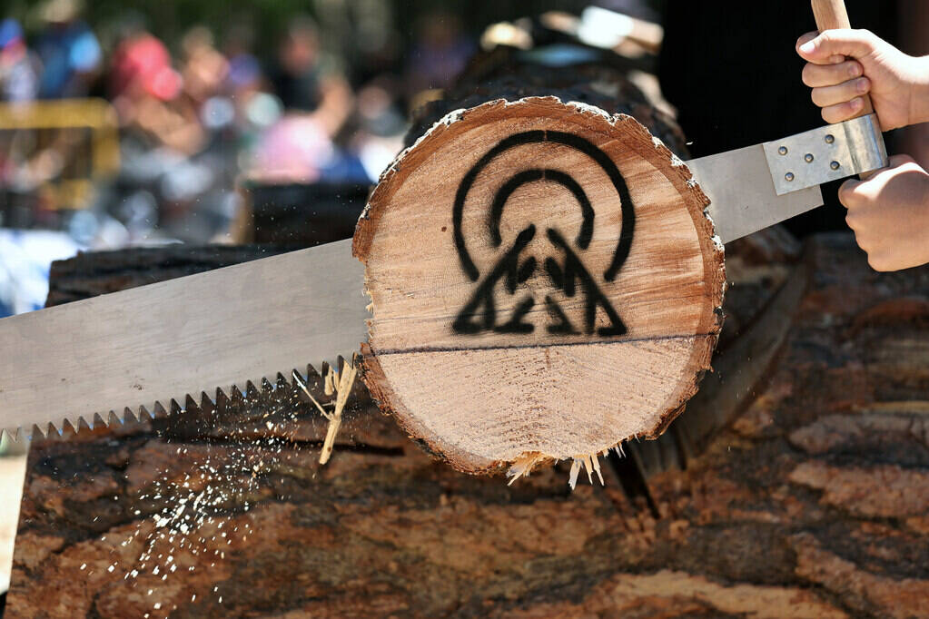 A team saws a log in Lee Canyon’s annual Crosscut Log Sawing competition during the Moun ...
