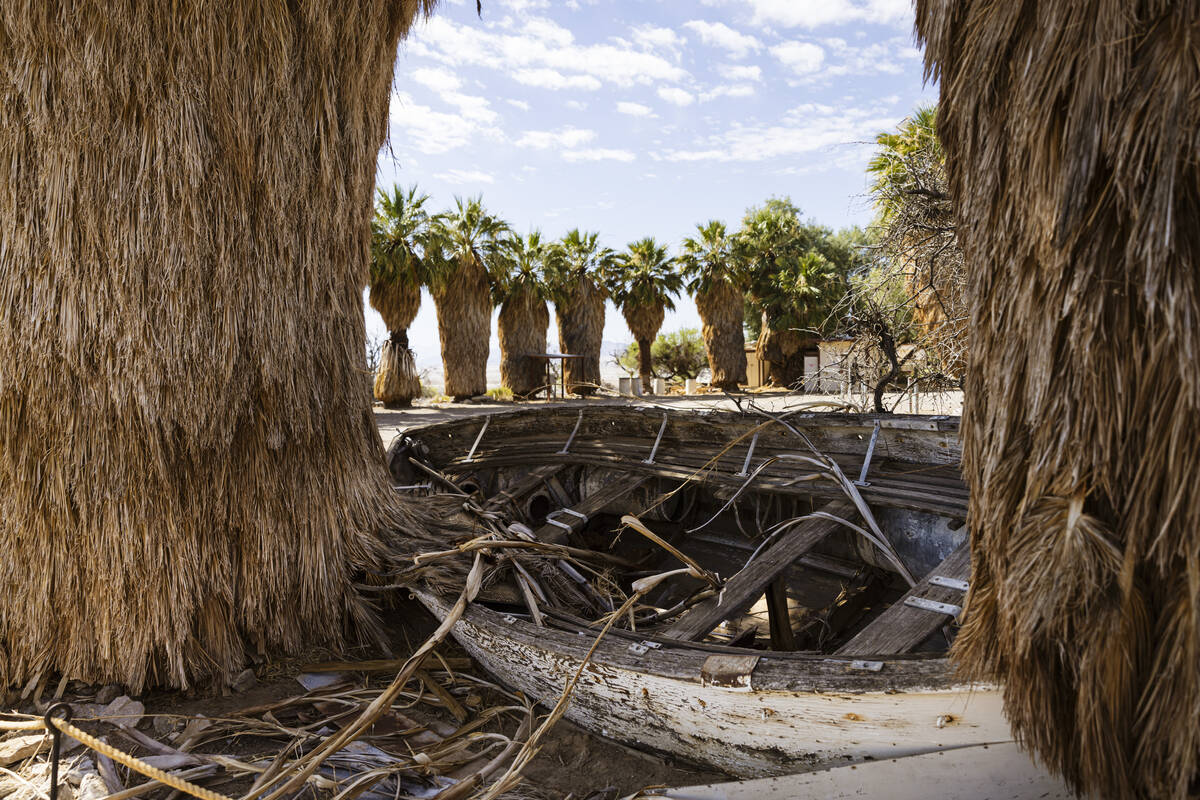 Palm trees and an old boat are seen along the Lake Tuendae trail at the site of the former Zzyz ...