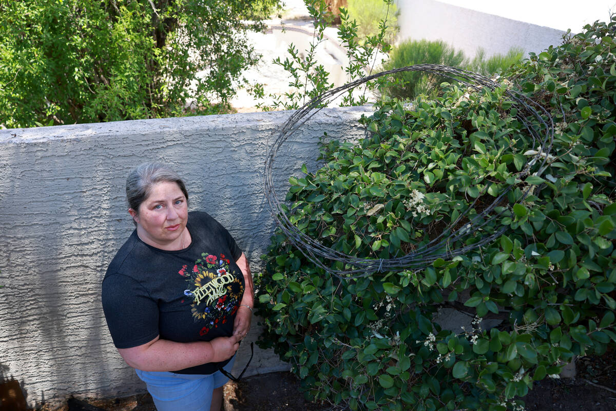 Jami Whitehead shows barbed wire on the backyard wall at her home in The Lakes Monday, June 24, ...