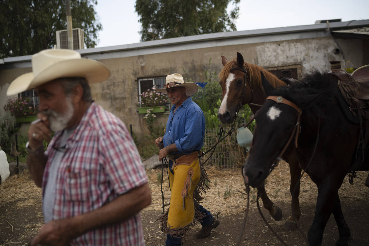 Cowboys from the Merom Golan kibbutz Ychiel Alon, 61 and Arnon Notman, 73, left, prepare their ...