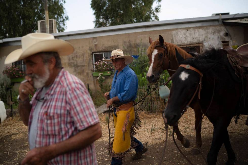 Cowboys from the Merom Golan kibbutz Ychiel Alon, 61 and Arnon Notman, 73, left, prepare their ...