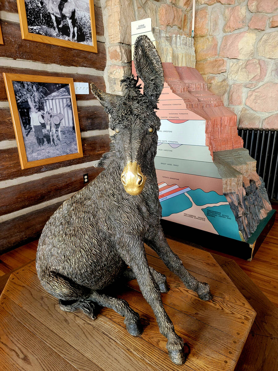 A statue inside the Grand Canyon Lodge – North Rim honors Brighty, a hardworking burro i ...