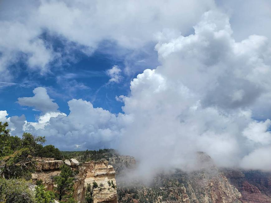 A July 2022 day when some clouds dipped below the North Rim near Cape Royal Trail at Grand Cany ...