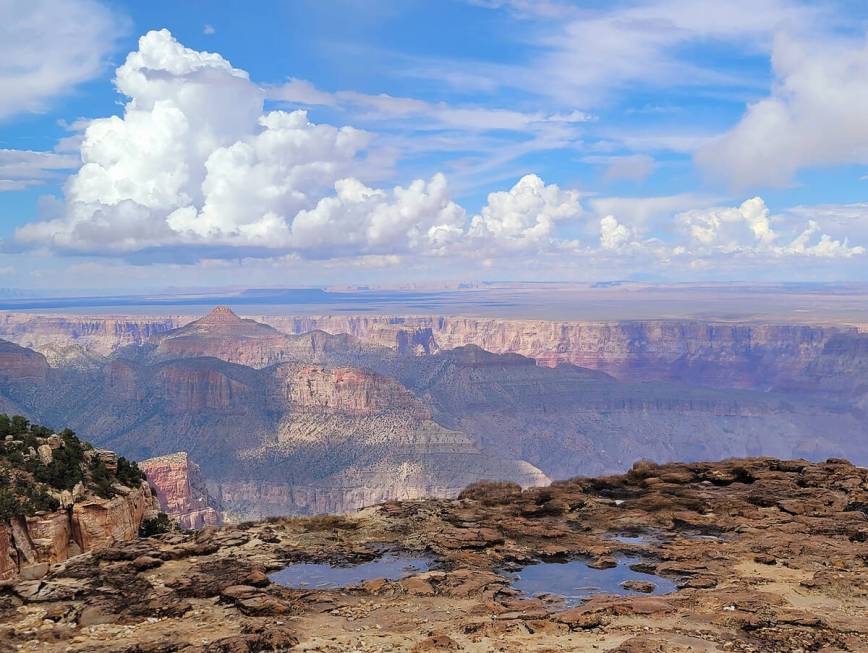 Rainwater remains after July showers at Cape Final at the North Rim of Grand Canyon National Pa ...