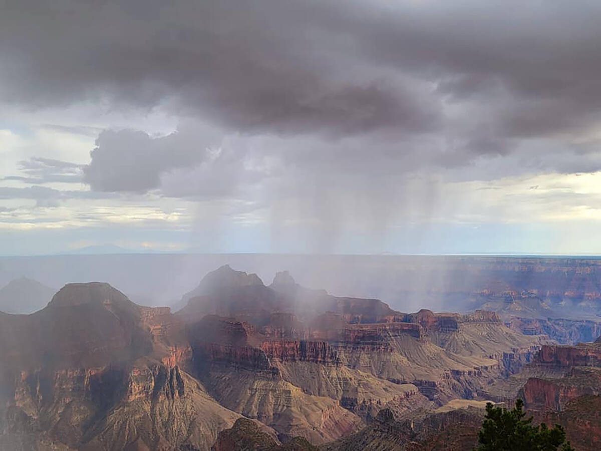 A view of a rainstorm in July 2022 near the Grand Canyon Lodge-North Rim. (Natalie Burt)