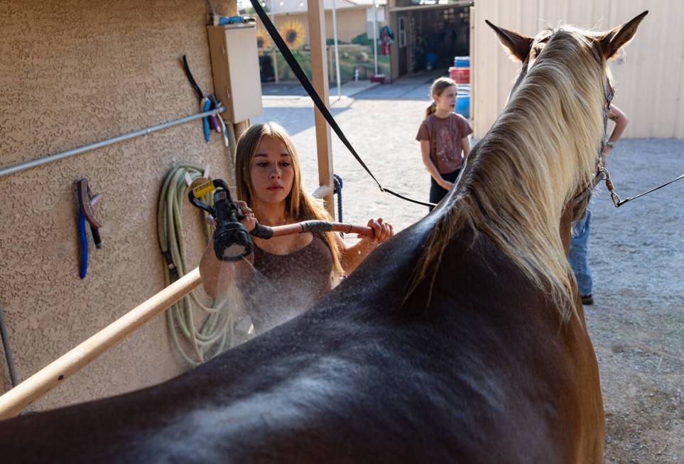 Daydia Pachecl, 16, cools down Remy with a morning shower at Talisman Farm in Las Vegas, Wednes ...