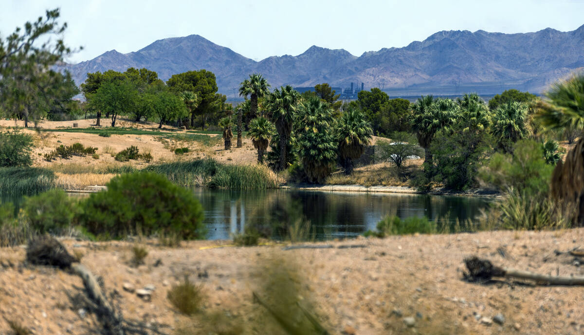 A water feature at the Primm Valley Golf Course which is currently closed and has been sold on ...