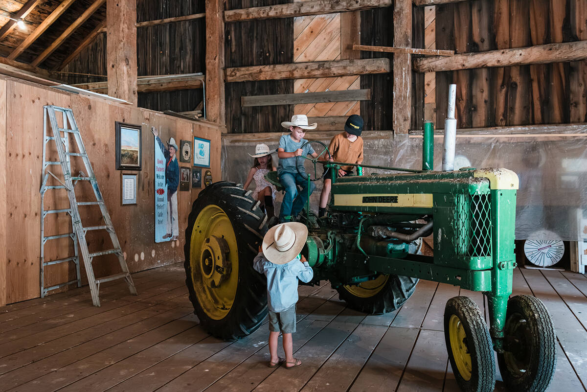 The iconic Jack Valley Ranch, owned by the late gaming mogul John Ascuaga, dates to the late 18 ...