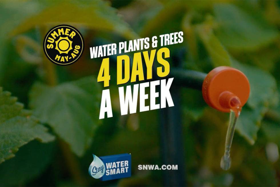 A new Southern Nevada Water Authority ad highlights drip irrigation, which uses a smaller trick ...