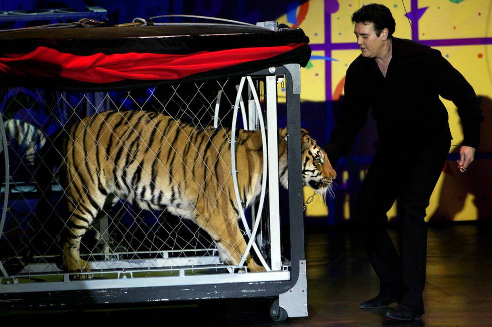 JANE KALINOWSKY/REVIEW-JOURNAL Illusionist Rick Thomas brings out his tiger during his afterno ...