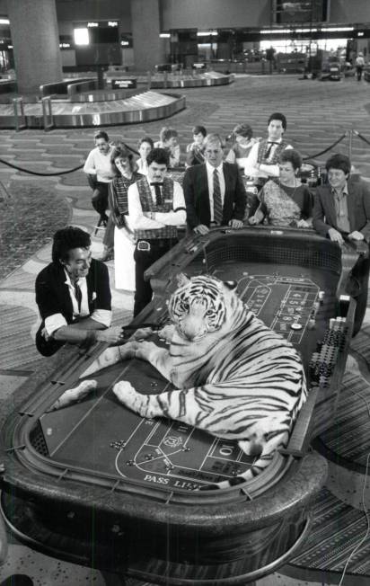 Illusionist Roy Horn of Siegfried & Roy poses with a white tiger on a craps table at McCarran I ...