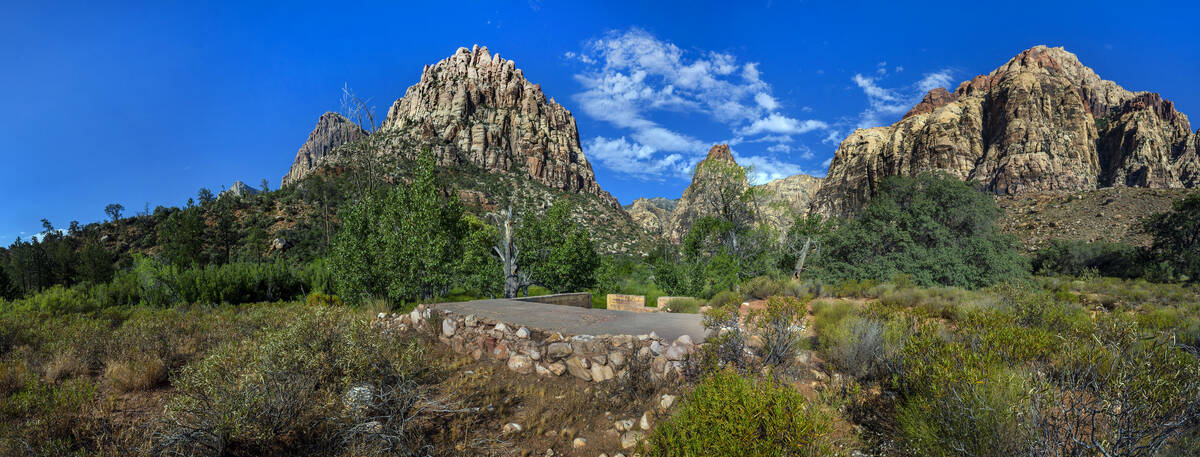 The foundation remains about the former Horace Wilson homestead off the Pine Creek Trail in the ...