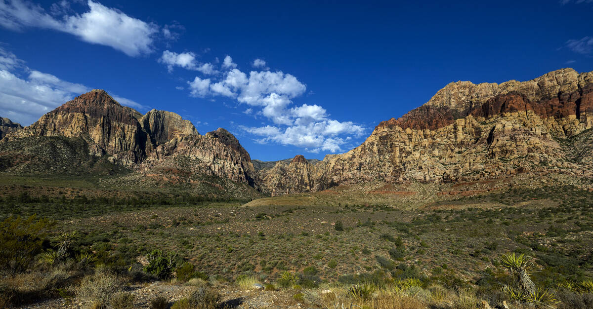 The valley of the Pine Creek Trail which holds the former Horace Wilson homestead within the Re ...