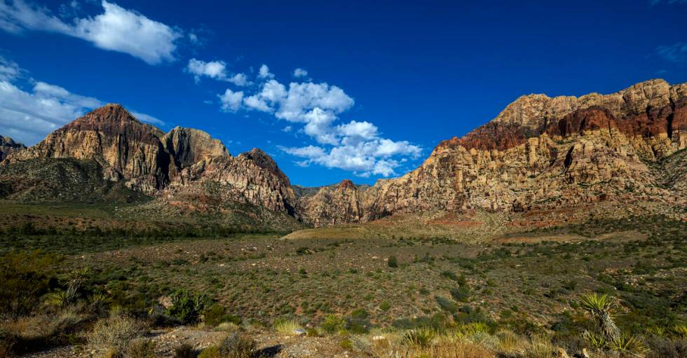 The valley of the Pine Creek Trail which holds the former Horace Wilson homestead within the Re ...