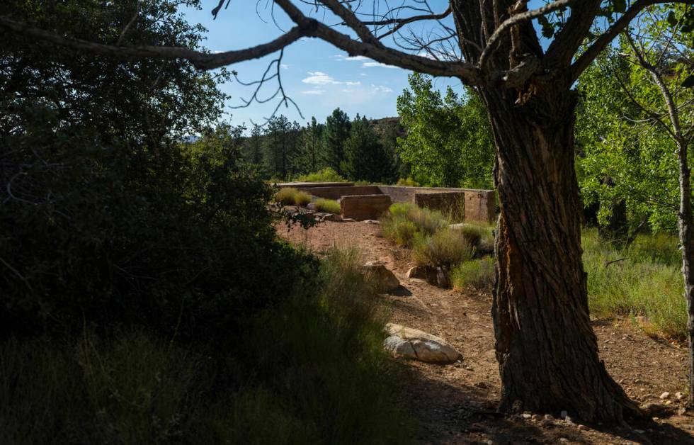 The foundation remains about the former Horace Wilson homestead off the Pine Creek Trail in the ...