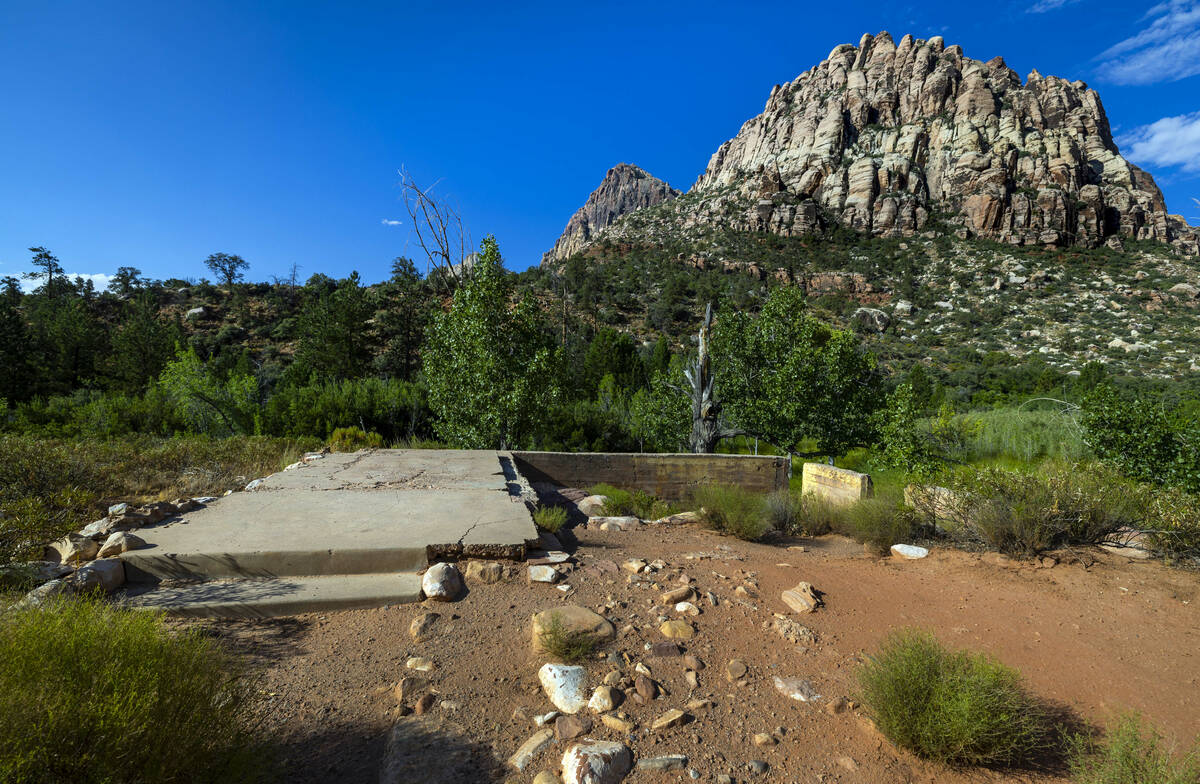 The foundation remains about the former Horace Wilson homestead off the Pine Creek Trail in the ...