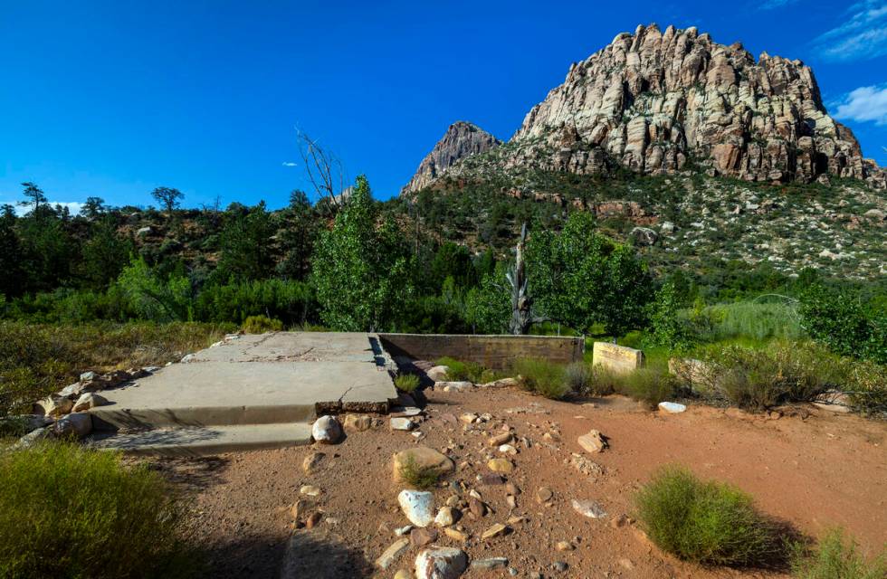 The foundation remains about the former Horace Wilson homestead off the Pine Creek Trail in the ...