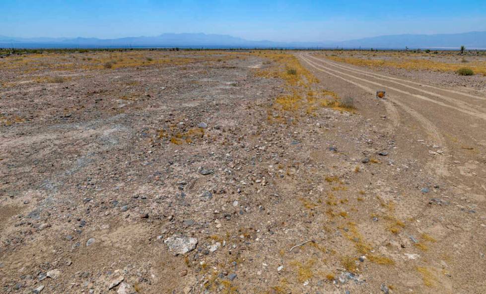 An existing dirt road about the proposed runway of the new Spaceport property on Saturday, July ...