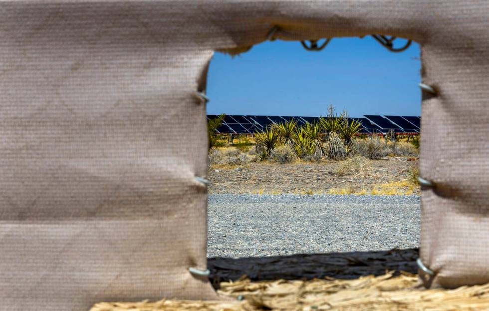 A wildlife passway installed in the fenceline adjacent to the Yellow Pine Solar Project in an a ...