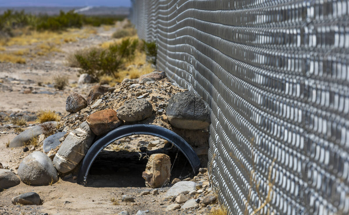 A tortoise shade area installed beside the fenceline adjacent to the Yellow Pine Solar Project ...