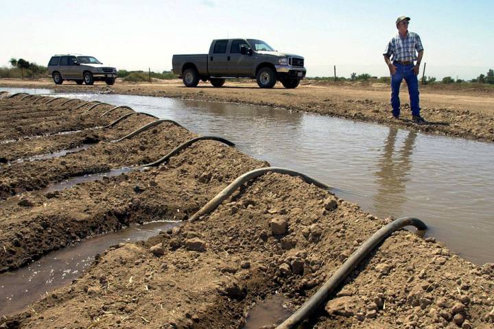 Farmer John Hawk stands by as he irrigates his onion fields in California's Imperial Valley nea ...