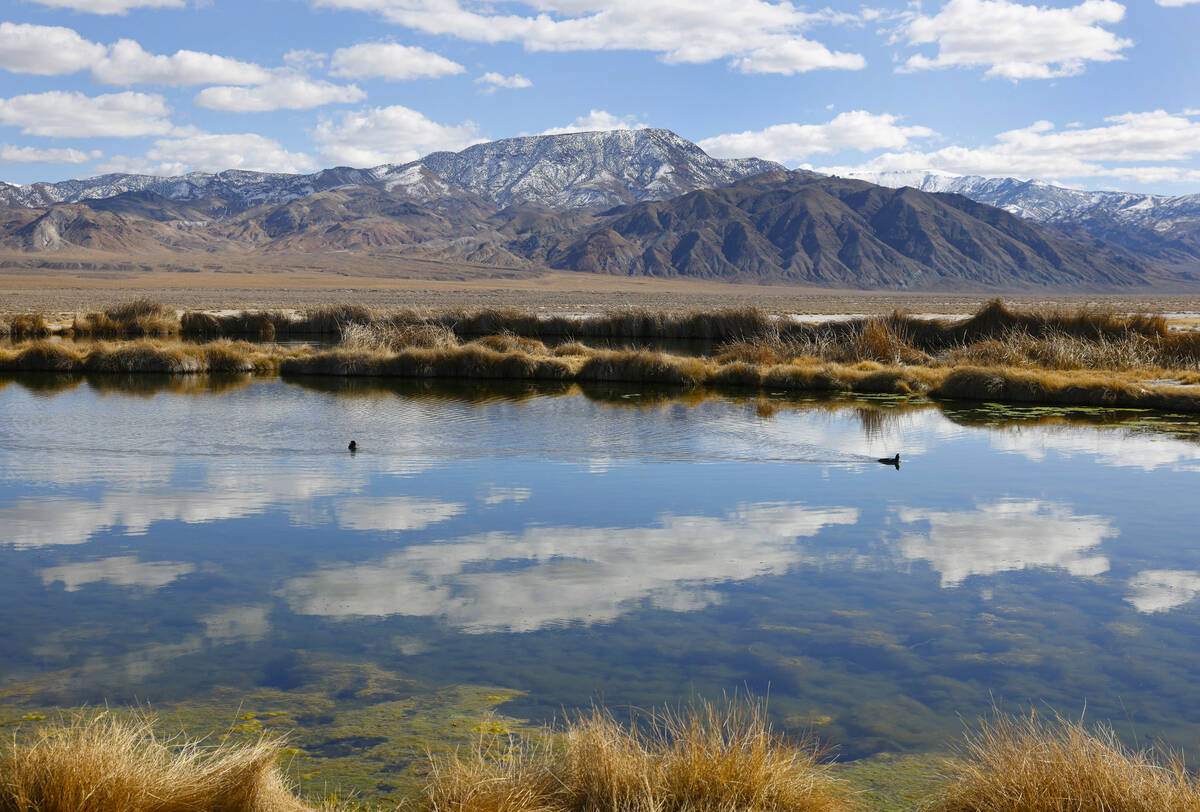 A pond from an old oil project near the Rhyolite Ridge lithium-boron mine project site is seen ...