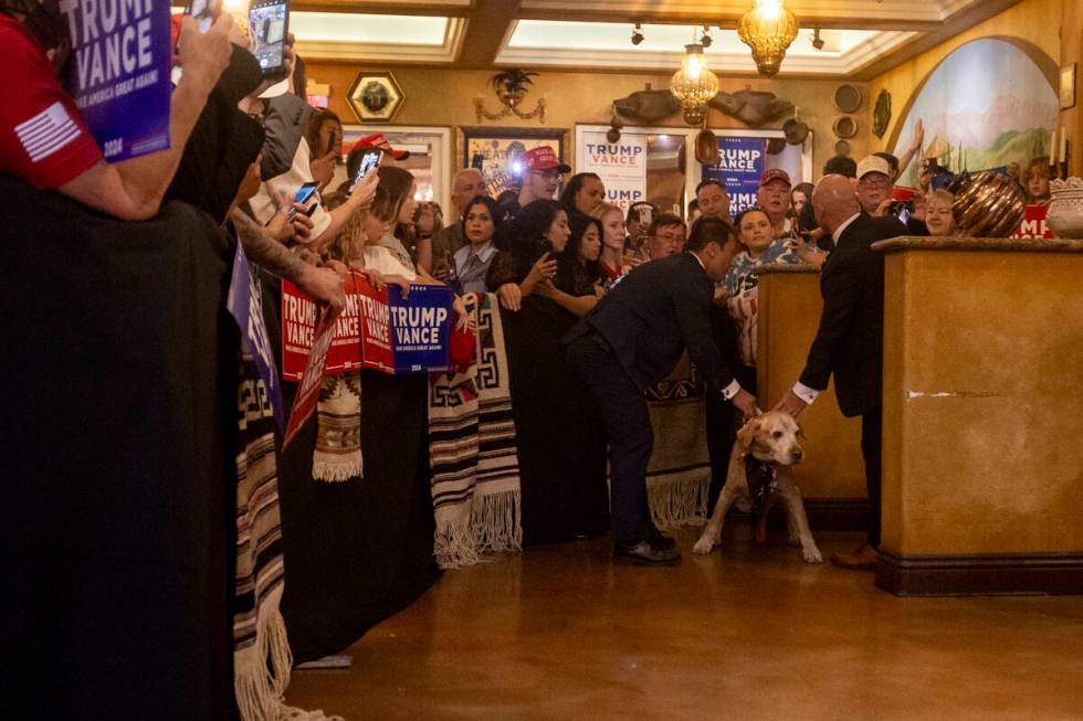 A dog is stopped by members of the Secret Service after making it through a gap in the gates be ...