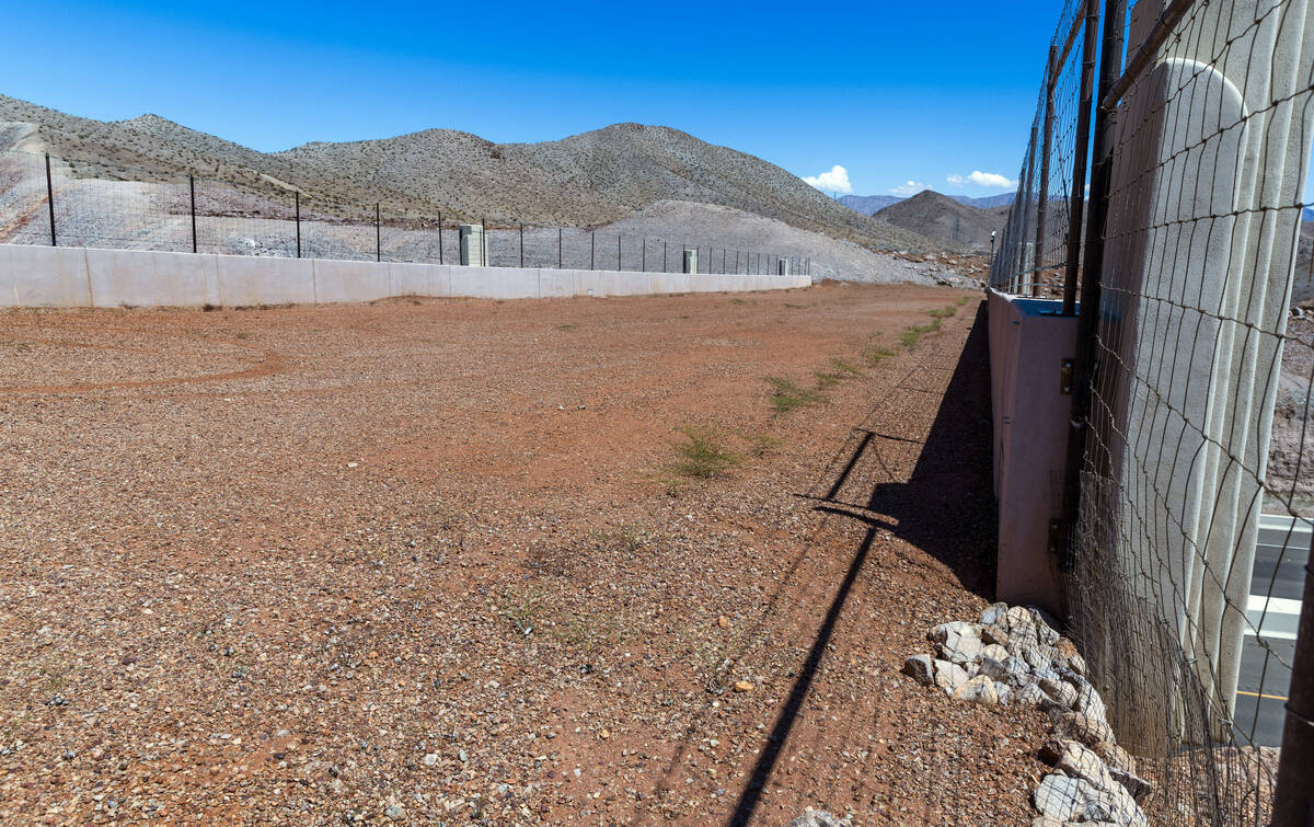 An animal crossing over I-11 near the Lake Mead overlook is seen Friday, Aug. 23, 2024, in Boul ...