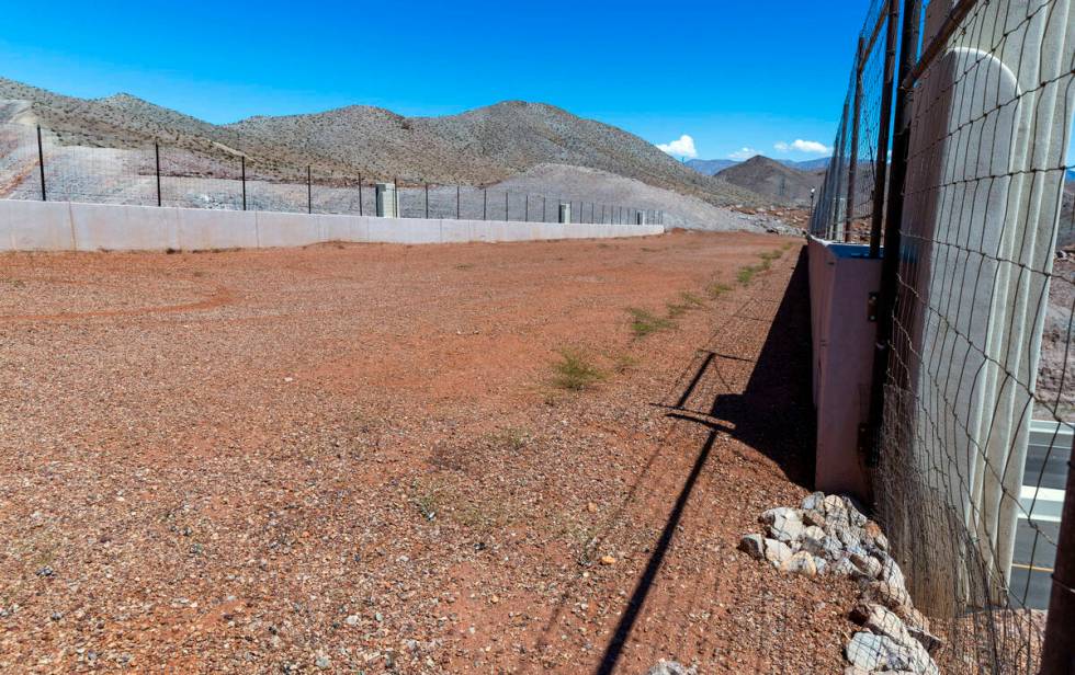 An animal crossing over I-11 near the Lake Mead overlook is seen Friday, Aug. 23, 2024, in Boul ...