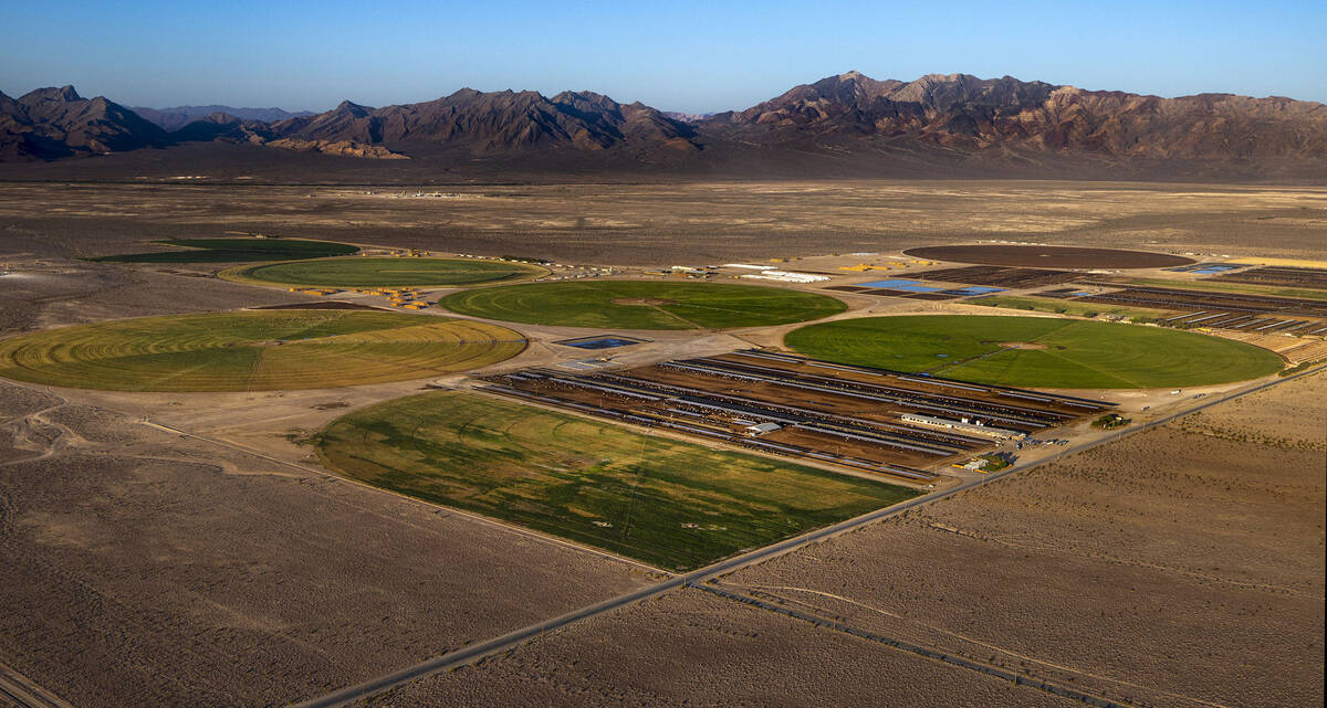 As the larger water user in the area Ponderosa Dairies is comprised of milk cows housed in open ...