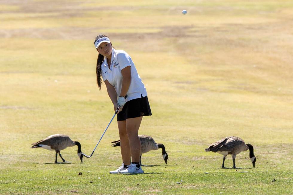 Clark’s Emma Allen chips her ball onto the green during the Class 5A Mountain League gir ...