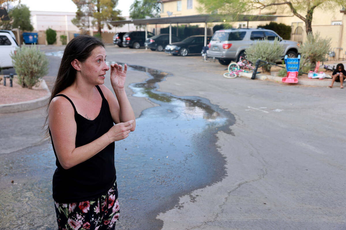 Amanda Ahlstrom, a mother of five who owns a unit at Somerset Park townhouse complex in Henders ...