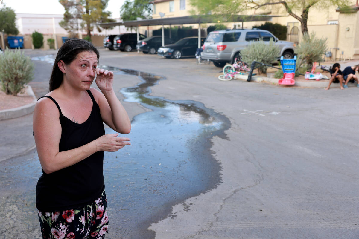 Amanda Ahlstrom, a mother of five who owns a unit at Somerset Park townhouse complex in Henders ...