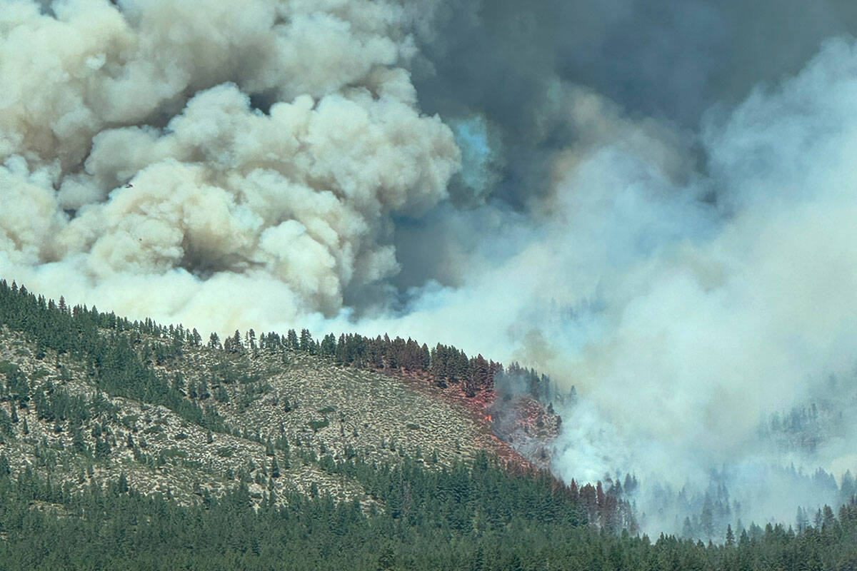 The Davis Fire burns near South Reno on Sunday, Sept. 8, 2024. (Christy Cuthbert)