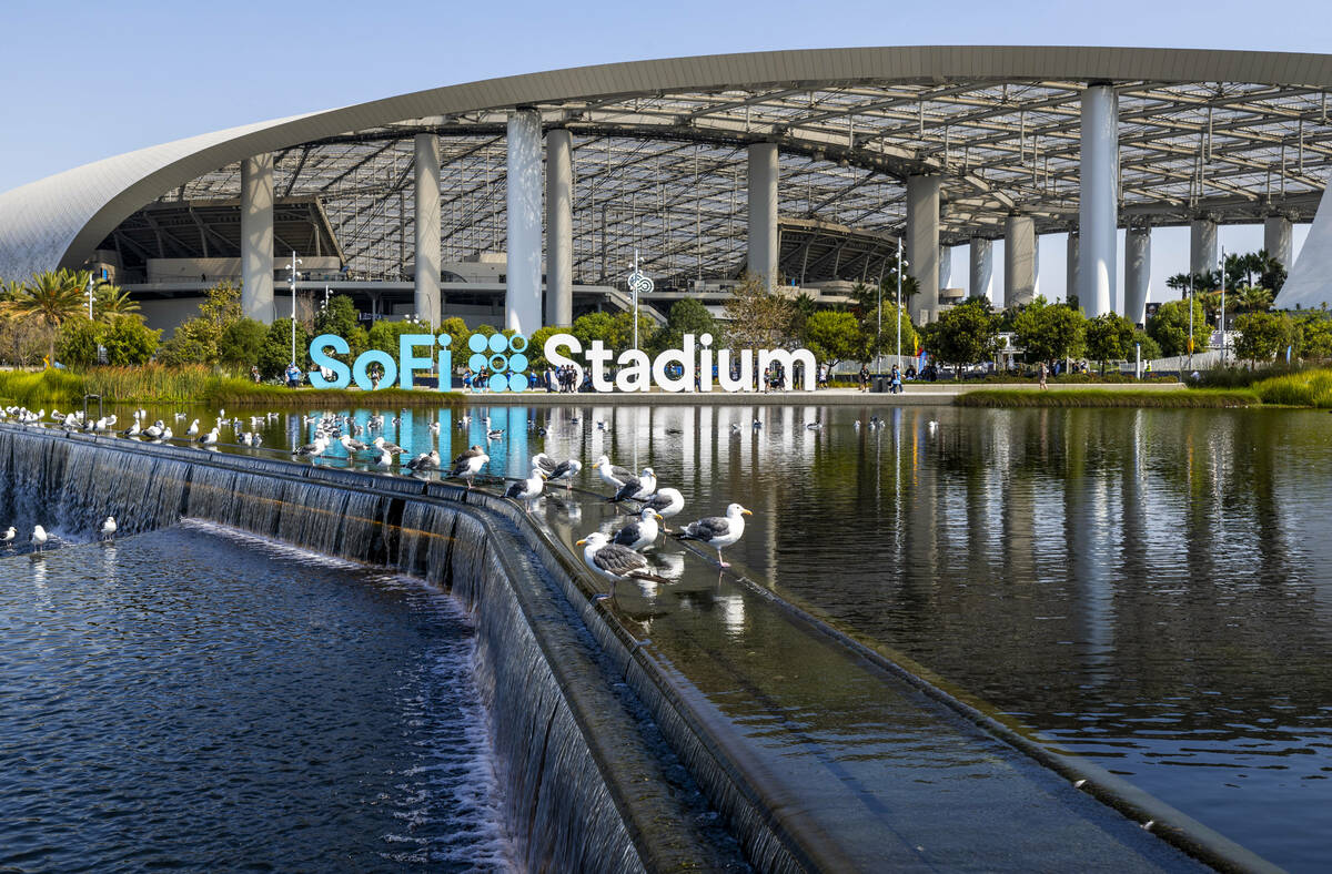 Seagulls enjoy the water outside the stadium before the Raiders face the Los Angeles Chargers i ...