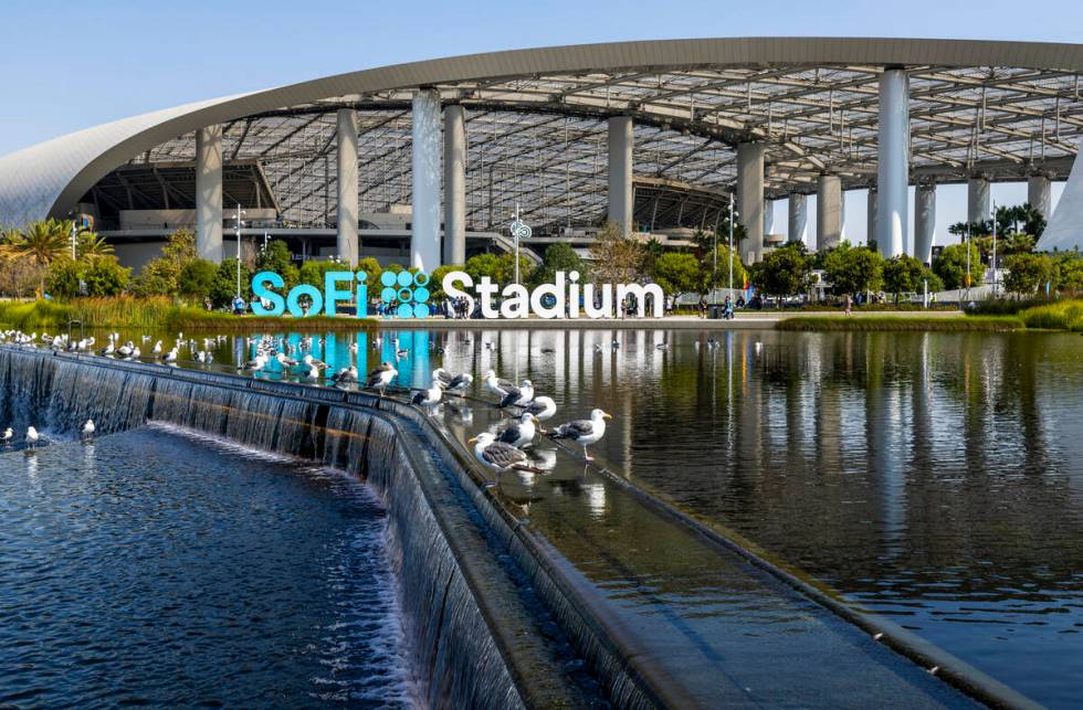 Seagulls enjoy the water outside the stadium before the Raiders face the Los Angeles Chargers i ...