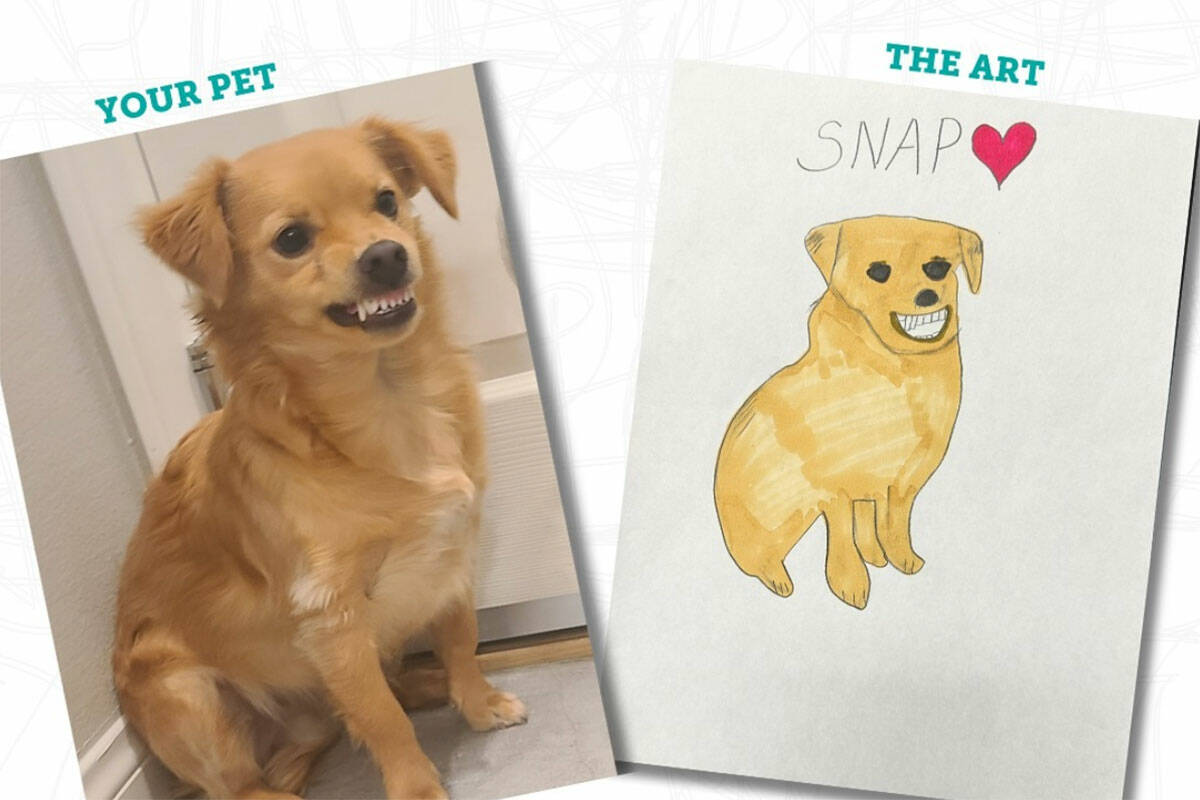 The Animal Foundation is selling pet drawings for $20 to raise money for shelter pets. (The Ani ...