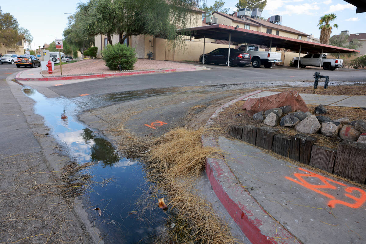 A leak is shown in the private water system at Somerset Park townhouse complex in Henderson Tue ...