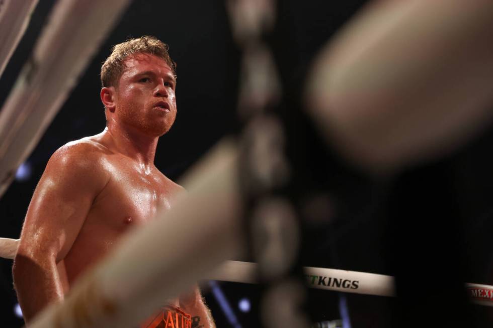 Canelo Alvarez pauses in the corner after knocking Edgar Berlanga to the mat during a super mid ...