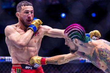 Merab Dvalishvili takes a punch to the stomach from Sean O'Malley in their bantamweight title f ...