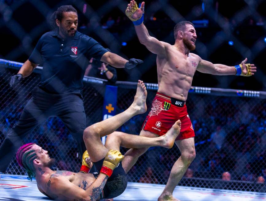 Sean O'Malley is on his back as Merab Dvalishvili celebrates a likely win in their bantamweight ...