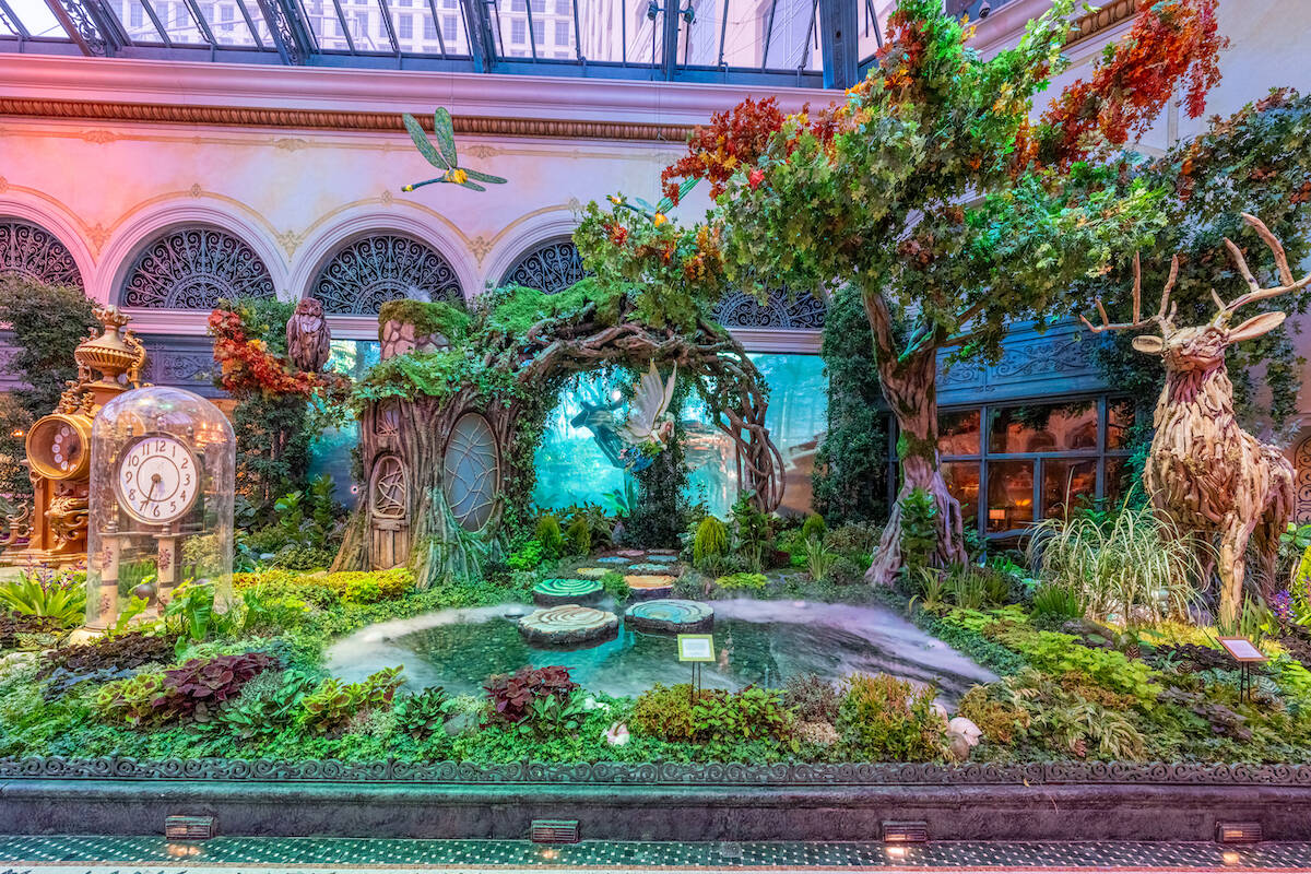 Bellagio Conservatory and Botanical Gardens new “The Garden of Time" display. (Courtesy Trevo ...