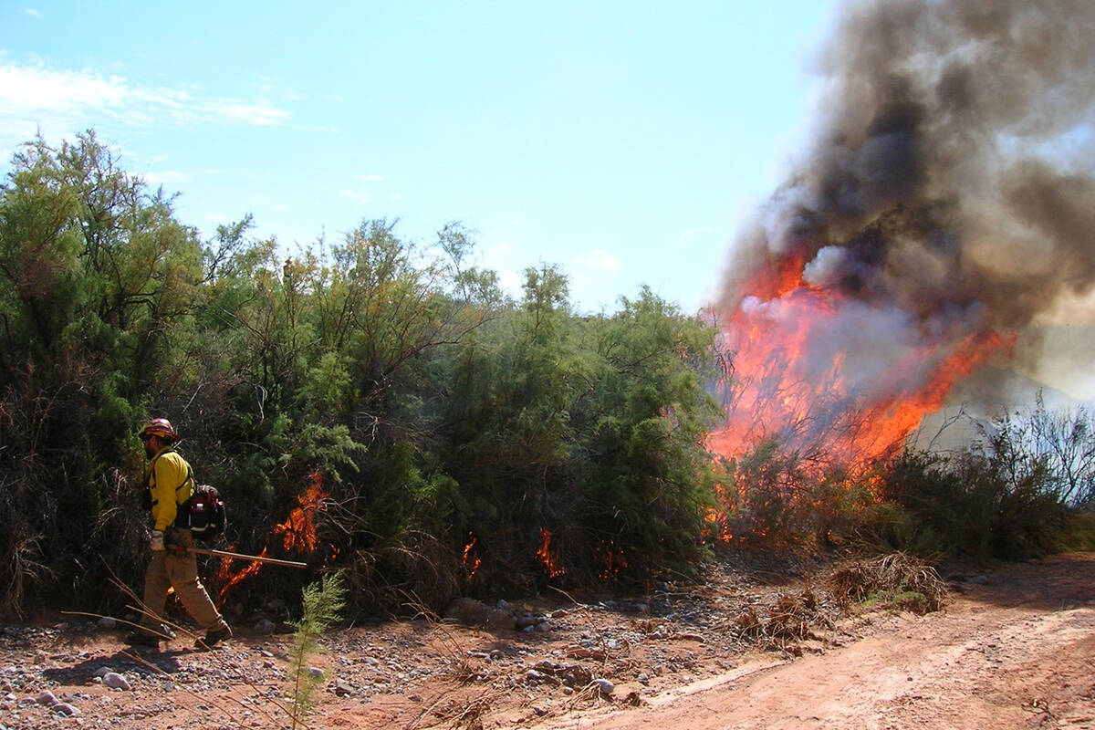 Lake Mead National Recreation Area plans to conduct a prescribed fire on Monday, Sept. 23, 2024 ...