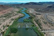 Volunteers take part in the Las Vegas Wash Coordination Committee’s “Wash Green Up” event ...