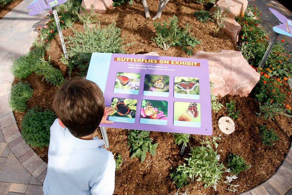 The Springs Preserve's Butterfly Habitat opens on Oct. 5. (Springs Preserve)