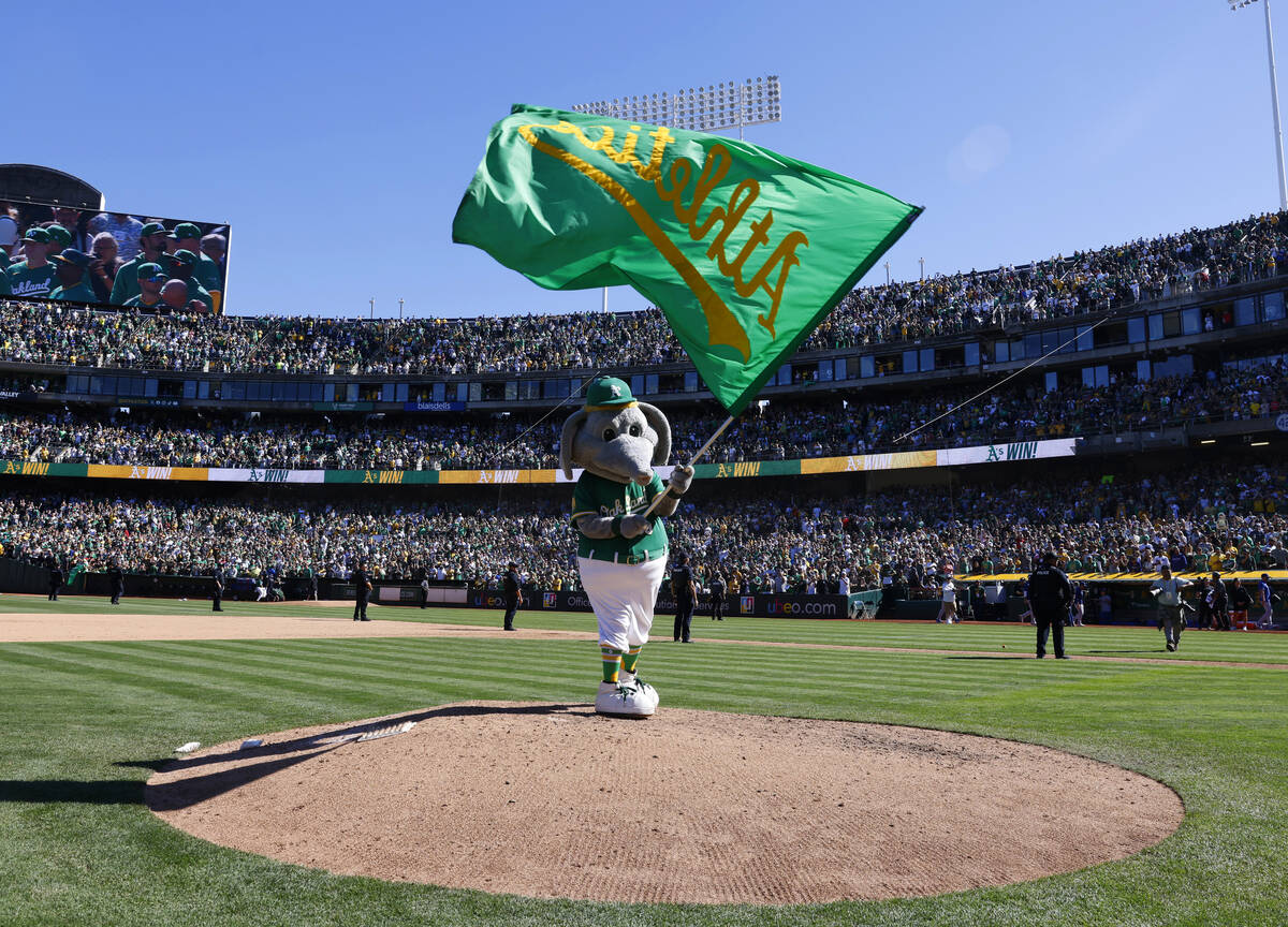 Oakland Athletics mascot Stomper waves the flag after the final home game against the Texas Ran ...