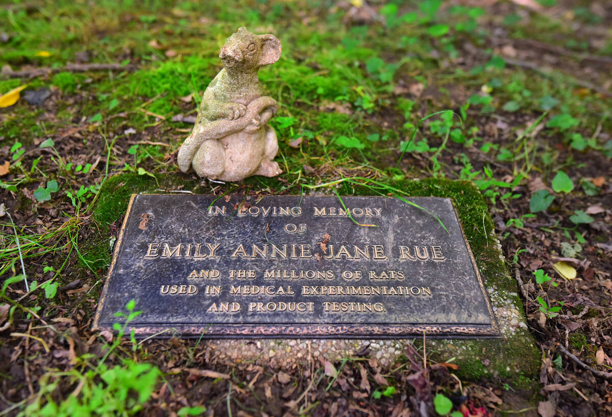 Aspin Hill pet cemetery in Maryland has several burials intended as examples of animal rights a ...