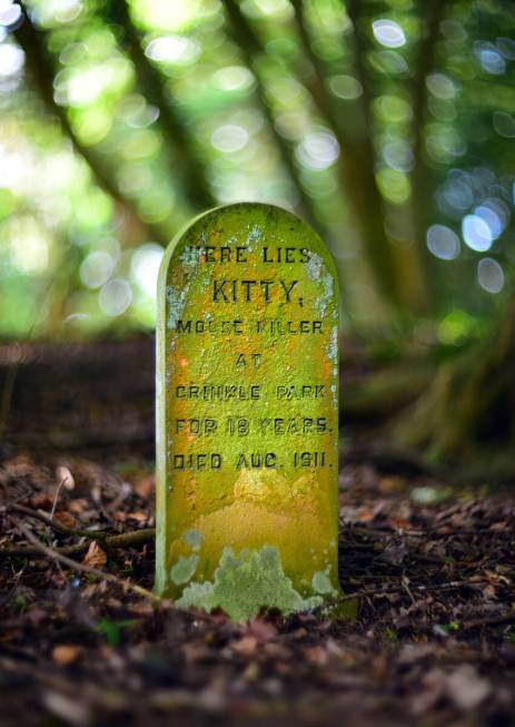 A gravestone at Grinkle Park, Yorkshire. (Courtesy of Paul Koudounaris)