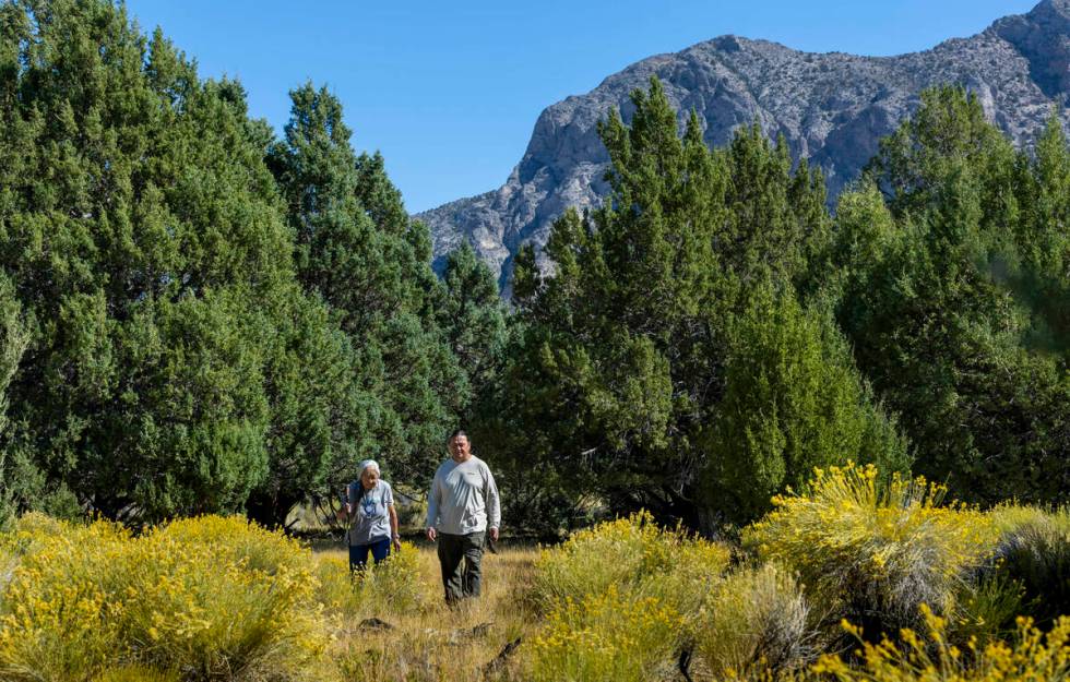 Delaine and Rick Spilsbury walk among Bahsahwahbee, a grove of Rocky Mountain juniper trees loc ...